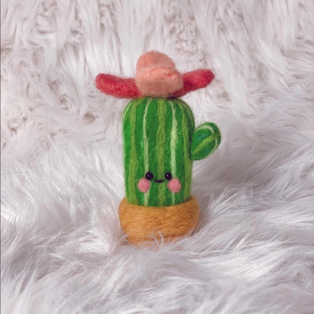 Cactus pin cushion